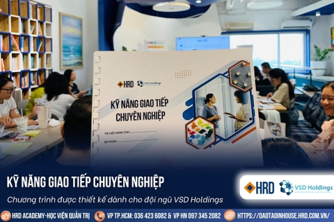 Kỹ năng giao tiếp chuyên nghiệp | VSD Holdings