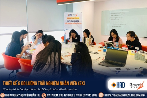 Thiết kế & Đo lường trải nghiệm nhân viên (EX) - Bravestars