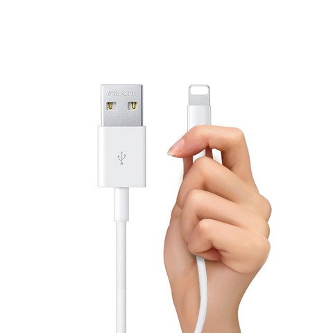 Cáp USB-A to Lightning Pisen AL05-1000