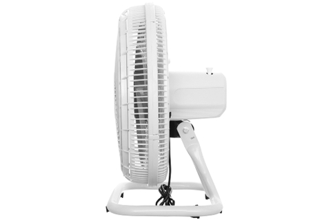 Quạt sàn Asia STB1601-XV0