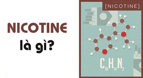 Nicotine là gì? Sử dụng Nicotine ảnh hưởng như thế nào đến sức khỏe?