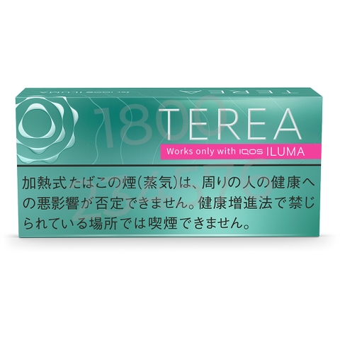 Terea Mint Nhật (ILUMA)