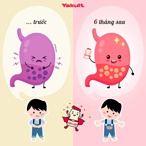 SỮA UỐNG LÊN MEN YAKULT
