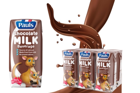 Sữa Pauls Hương Socola 200ml