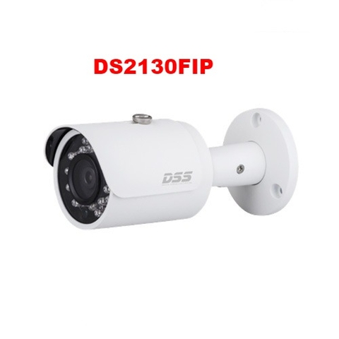 Camera IP 1.0 Megapixel DAHUA DS2130FIP