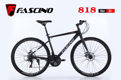 XE ĐẠP TOURING FASCINO 818