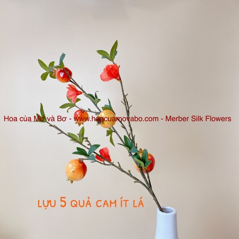 Cành lựu 5 quả có hoa trang trí, decor (ảnh và video thật) – Hoa ...