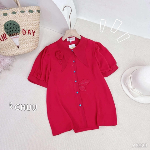 Áo Cổ Nhọn Lá Đa A2929