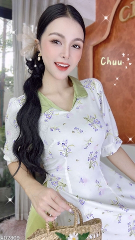 Áo Dài Bí Đao AD2809 (áo lẻ)