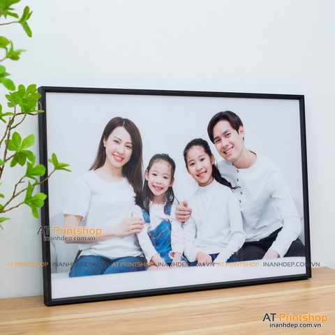 Ảnh tráng gương khung hợp kim treo tường cao cấp