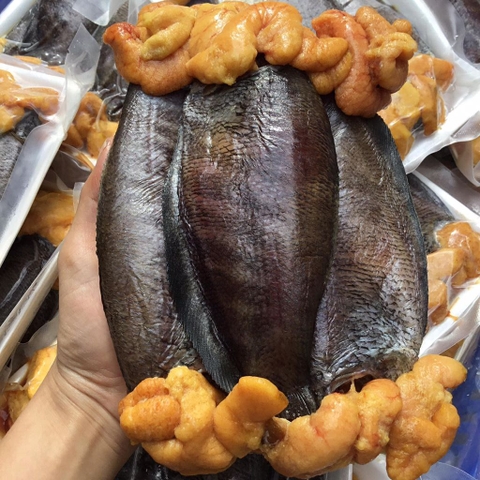 CÁ SẶC TRỨNG