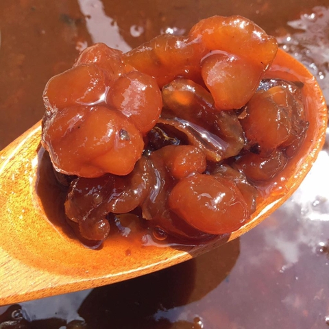 ĐÁ MÈ HẠT DẺO
