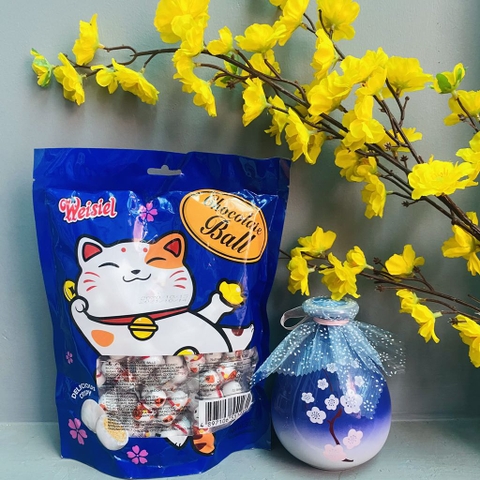 Sô Cô La Mèo Thần Tài