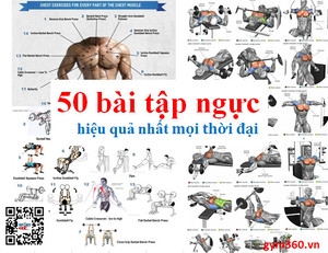 50 bài tập ngực hiệu quả nhất