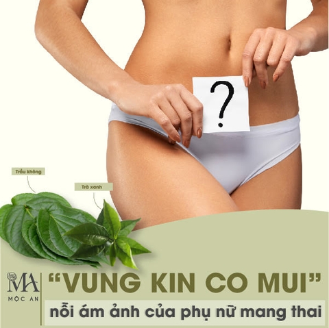 Bí Quyết Vệ Sinh Vùng Kín Dành Cho Bà Bầu