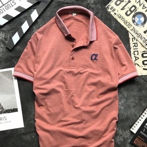 ao-thun-alpha-co-tay-bo