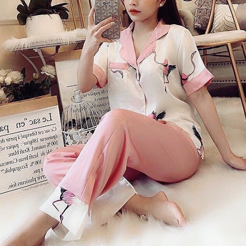 bo-ngu-pjm-dai-hac-hong