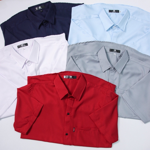 ao-so-mi-gu-don-gian