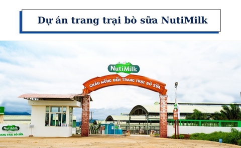 Cung cấp van vi sinh cho trang trại bò sữa NutiMilk