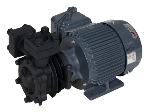BƠM DẦU NÓNG (CAO NHẤT 230 ĐỘ C)