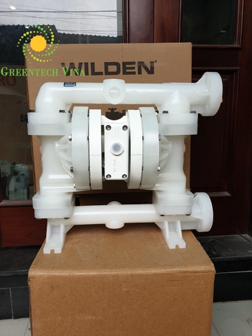 Bơm màng WILDEN P200 (1″ Polypropylene)