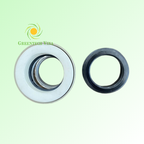 Phốt bơm đơn CS-S09-20-CE/C/BN