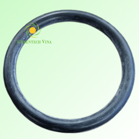 Vòng đệm Oring Đầu bơm van DOSEURO D50 Viton
