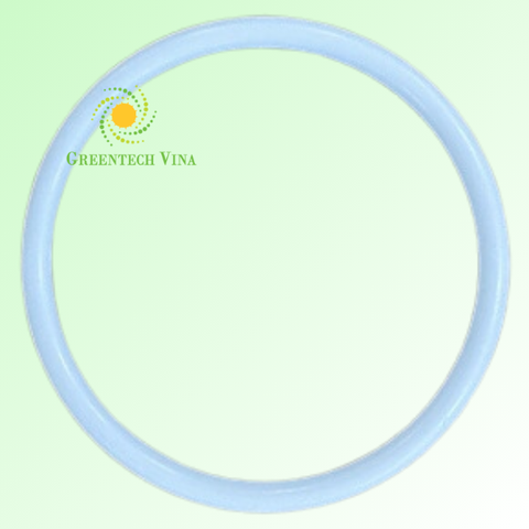 Vòng đệm Oring Đế Teflon DS20 PB000018