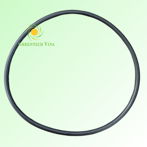 Vòng đệm Oring DS04 PD000011