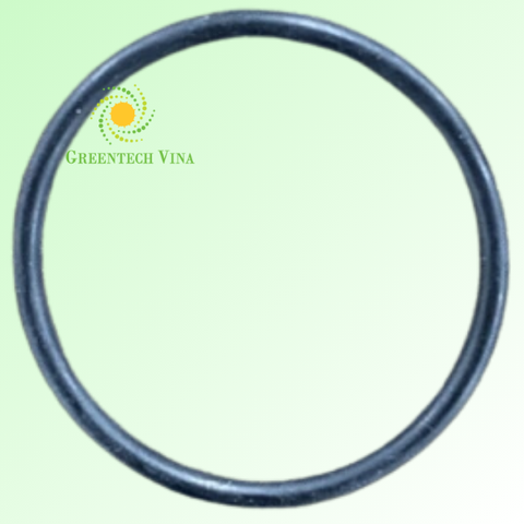 Vòng đệm Oring Y325-125