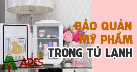 Tủ lạnh skincare là gì? TOP 3 điều tuyệt vời khi sử dụng tủ lạnh mỹ phẩm năm 2021