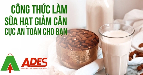 TOP 3 các công thức làm sữa hạt ngon giảm cân năm 2021