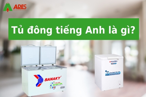 Tủ đông tiếng Anh là gì? Tủ đông mini tiếng Anh là gì?