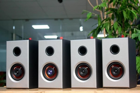 Loa vệ tinh là gì?