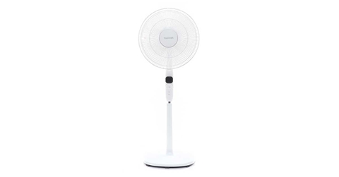 Top 3 quạt cây dưới 1 triệu