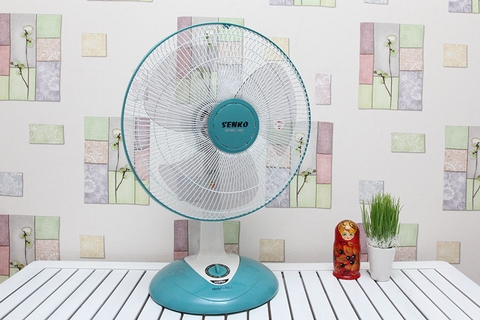 Quạt cây loại nhỏ và những điều cần biết