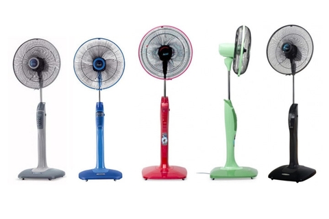 Mua quạt cây loại nào tốt nhất hiện nay?