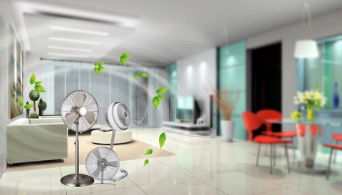 Mua quạt cây loại nào tốt? Nên sử dụng quạt cây hãng nào?