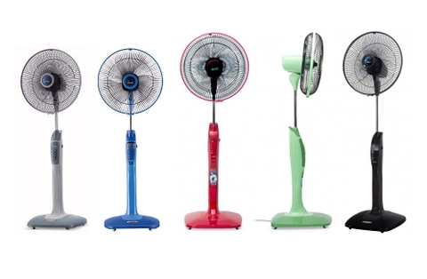 Quạt Cây Asia Có Tốt Không?