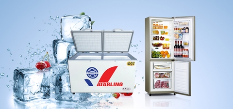 Tủ đông lạnh giá rẻ tại Hà Nội loại nào tốt