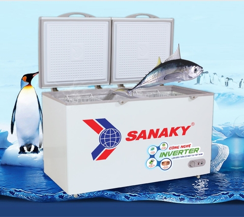 Nên mua tủ đông Sanaky hay Alaska?