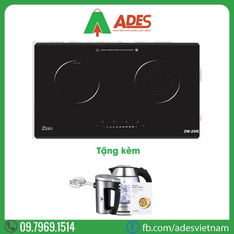 Bếp điện từ Zegu ZM29IE