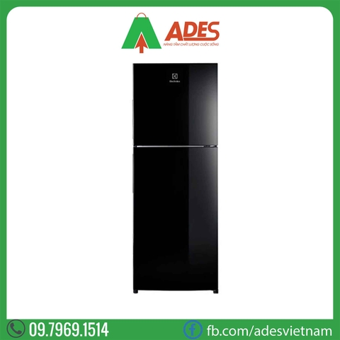 Tủ lạnh Electrolux Inverter ETB2802J-H 256L
