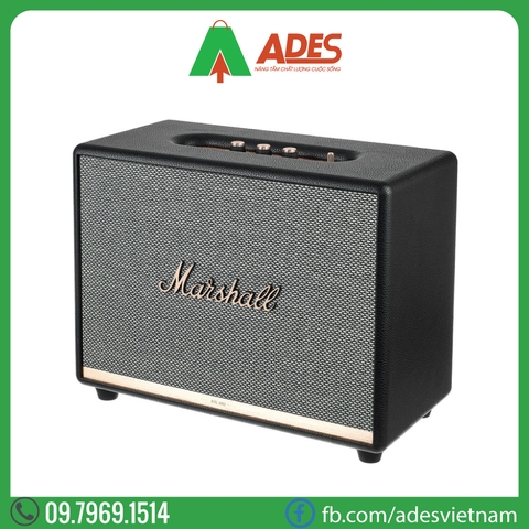 Loa Bluetooth MARSHALL Woburn 2