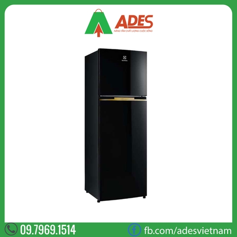 Tủ lạnh Electrolux Inverter ETB3400J-H 320L