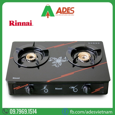 Bếp gas đôi Rinnai RV-3615GL