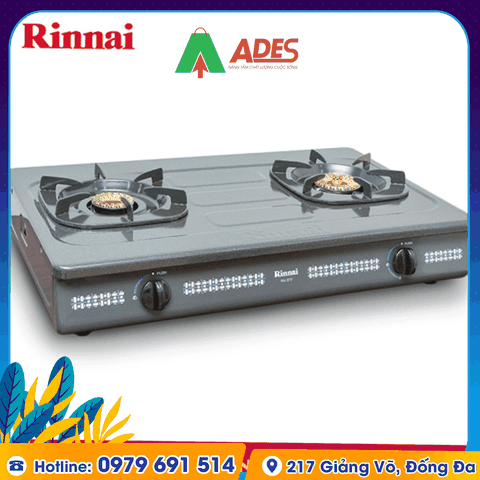 Bếp gas đôi Rinnai RV-367(G)N