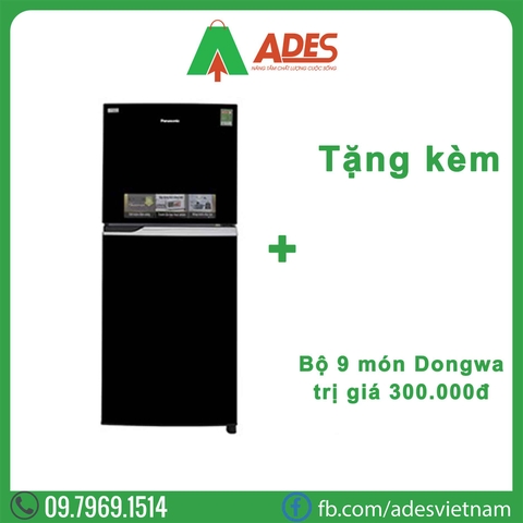 Tủ Lạnh Panasonic Inverter 234 Lít NR-BL267PKV1