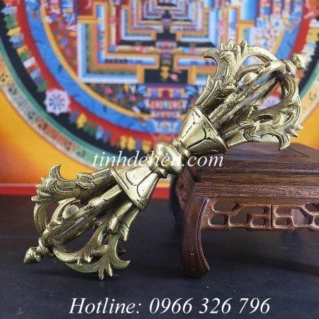CHÀY KIM CƯƠNG CỬU CỔ