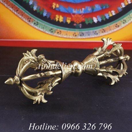CHÀY KIM CƯƠNG CỬU CỔ